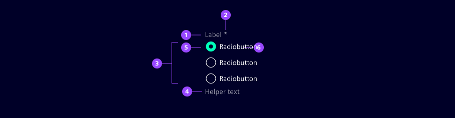 Anatomy radio button